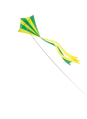 drache crop u209
