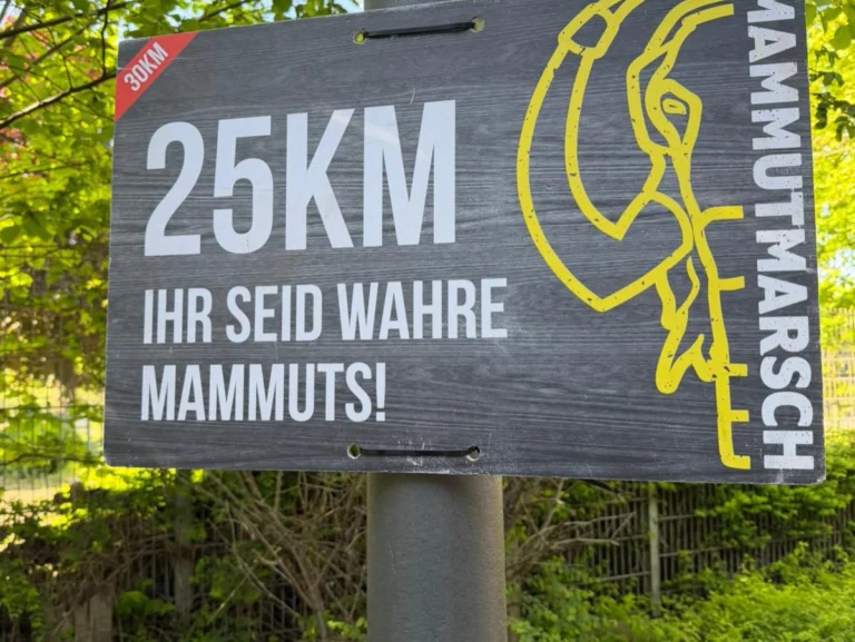 Instagram post from zaubersterne.nrw. This post is in position 5.