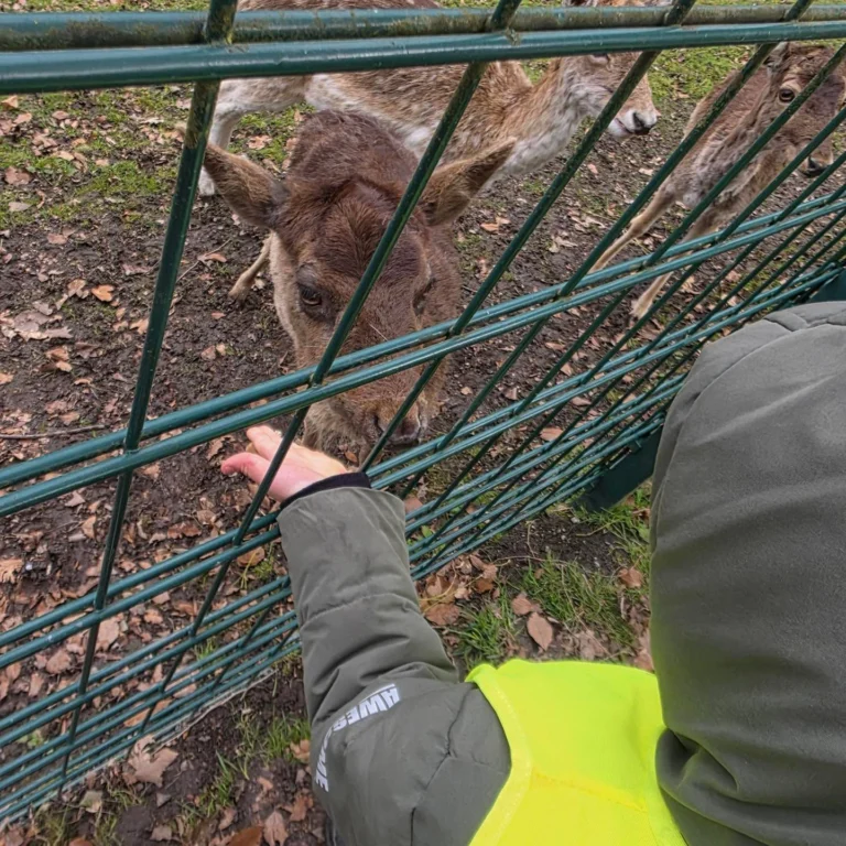 Instagram post from zaubersterne.nrw. This post is in position 4.