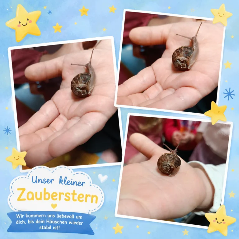 Instagram post from zaubersterne.nrw. This post is in position 15.