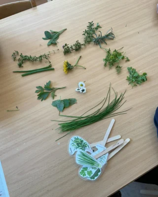 Instagram post from zaubersterne.nrw. This post is in position 7.